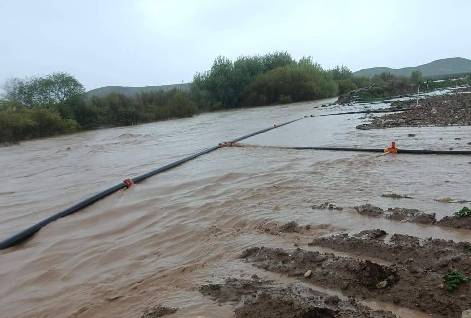 عیراق سێیەم وڵاتە لە زیانە گیانییەكاندا لە هەولێر دوو هاوسەر بە درۆنی بۆمبڕێژكراو "شەهید" بوون